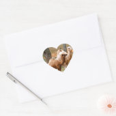 マザーラクダとベビー動物の写真デザートアニマル ハートシール (封筒)