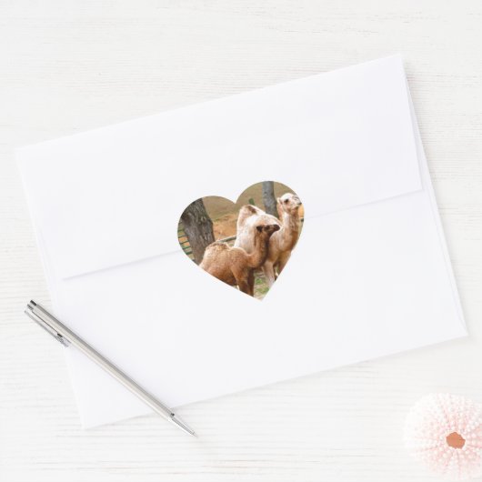 マザーラクダとベビー動物の写真デザートアニマル ハートシール (封筒)