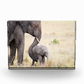 マザーラブエレファントベビー フォトブロック (正面)