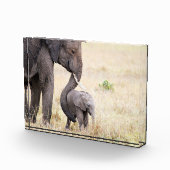 マザーラブエレファントベビー フォトブロック (右)