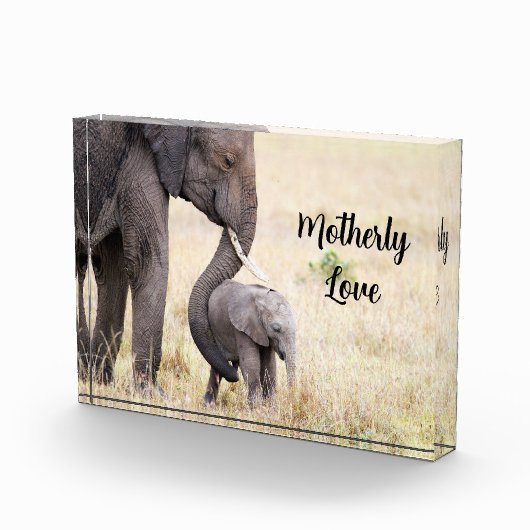 マザーラブゾウベビー パーソナライズされた フォトブロック (右)