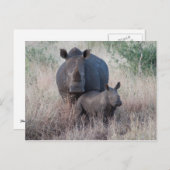 マザーラブ – Rhinoスタイルはがき ポストカード (正面/裏面)