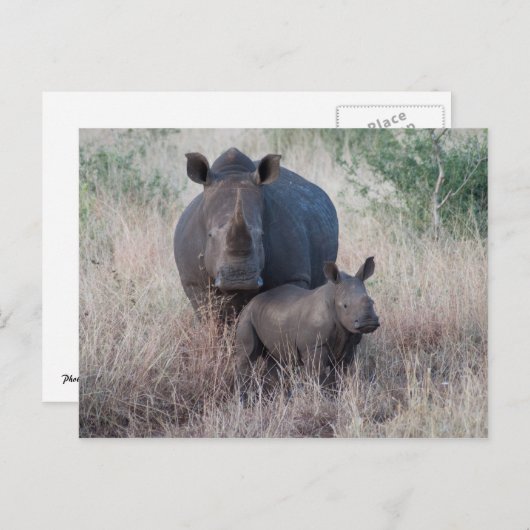 マザーラブ – Rhinoスタイルはがき ポストカード (正面/裏面)