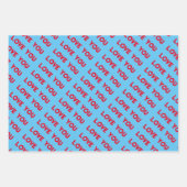 マザーリーラブラッピング紙セット ラッピングペーパーシート (正面2)