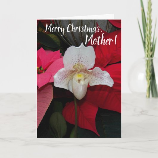 マザーレッドポインセチアとオーキッドクリスマスのために カード (正面)