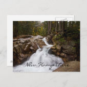 マザー自然,ニューハンプシャー ポストカード (正面/裏面)