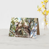 マザー誕生日カード特集コアラ・ジョーイ カード (黄色い花)