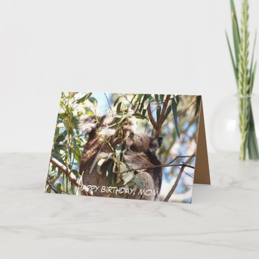 マザー誕生日カード特集コアラ・ジョーイ カード (正面)