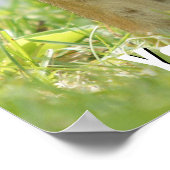 マザー・アンド・ベビー・チムンク ポスター (角)