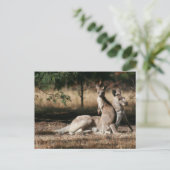 マザー・カンガルーとジョイリラックスズ ポストカード (スタンド正面)