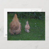 『マザー・ヘンとそのひよこ』 ポストカード (正面/裏面)