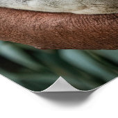 マザー&ベビーコアラベア ポスター (角)