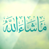 マシャラカーデカール ウィンドウサイン (シート3)