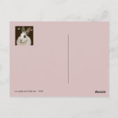 マシュマロのバニー・ポストカード ポストカード (裏面)