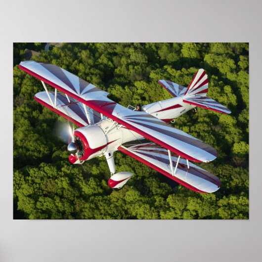 マシュー450 ポスター (正面)