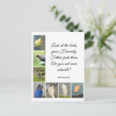 マシュー6:26はがき ポストカード (スタンド正面)