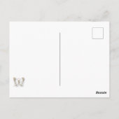 マシュー6:26はがき ポストカード (裏面)