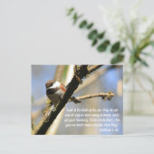 マシュー6:26バードズ聖なる書物、 経典 ポストカード (スタンド正面)