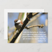 マシュー6:26バードズ聖なる書物、 経典 ポストカード (正面/裏面)