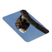 マジさん マグネット (右側)