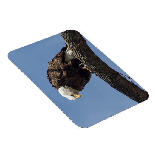 マジさん マグネット (右側)