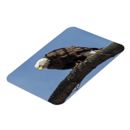 マジさん マグネット (左側)