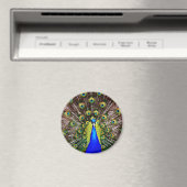 マジェスティックピーコック マグネット (インサイチュ (食洗機))