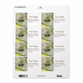 マジェランズシップVictoriaアンティークマップ太平洋海 ラベル (フルシート)