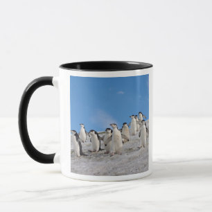 マジェランペンギン Pygoscelis Antarctica マグカップ