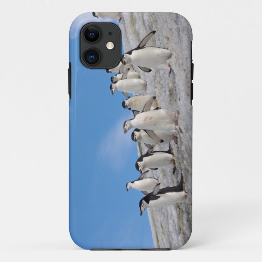 マジェランペンギン | Pygoscelis Antarctica Case-Mate iPhoneケース (裏面)