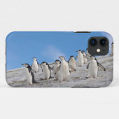 マジェランペンギン | Pygoscelis Antarctica Case-Mate iPhoneケース (裏面(横))