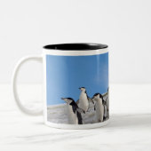 マジェラン Penguin | Pygoscelis Antarctica ツートーンマグカップ (左)