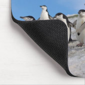マジェラン penguin | Pygoscelis Antarctica マウスパッド (コーナー)