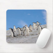 マジェラン penguin | Pygoscelis Antarctica マウスパッド (マウス)
