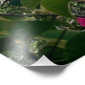 マジェンズベイセントトーマスUSVI熱帯ビーチ フォトプリント            (角)