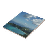 マジェンズベイ,セントトーマス美しい島のシーン タイル (側面)