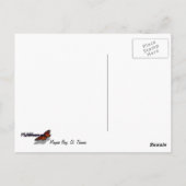 マジェンズベイ,セントトーマス美しい島のシーン ポストカード (裏面)