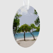 マジェンズベイ（セントトーマスUSVI） オーナメント (正面)