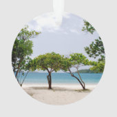 マジェンズベイ（セントトーマスUSVI） オーナメント (裏面)