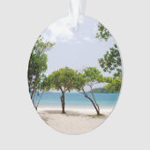 マジェンズベイ（セントトーマスUSVI） オーナメント (正面)