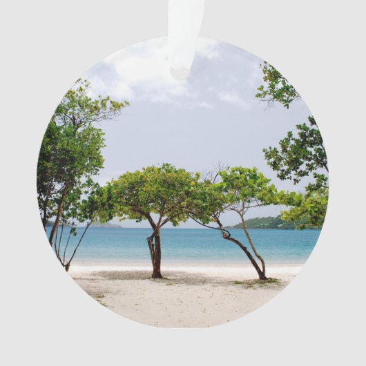 マジェンズベイ（セントトーマスUSVI） オーナメント (正面)