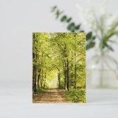 マジカの森葉のが通る道 ポストカード (スタンド正面)