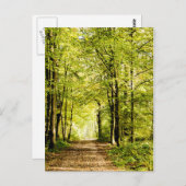 マジカの森葉のが通る道 ポストカード (正面/裏面)