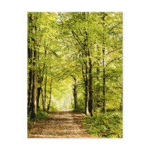 マジカの森葉のが通る道