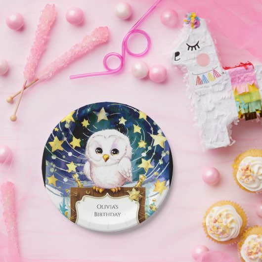 マジカルキッズフクロウ誕生日 ペーパープレート (パーティー)