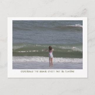 マジカルフロリダ。 ポストカード