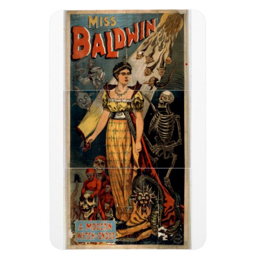 マジシャン子猫ボールドウィンマグネット マグネット (縦)