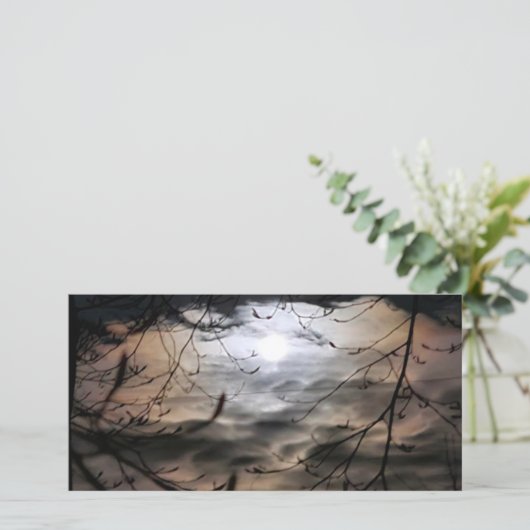 マジックムーンスケープ空白の(内側) シーズンカード (スタンド正面)