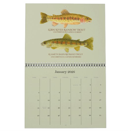 マスのポートレートのカレンダー カレンダー (1月 2026)