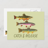 マスの捕獲と放流 ポストカード (正面/裏面)